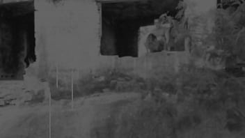 Safada Fazendo Sexo Gostoso thumbnail