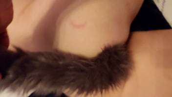 Calvoyrubia gatita poniendo cola