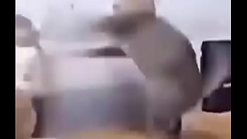 Queso Con Pan thumbnail