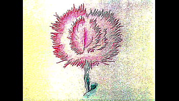 Meet me on the desertshore