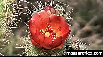 Sensual lesbian sex kissing orgasms 11