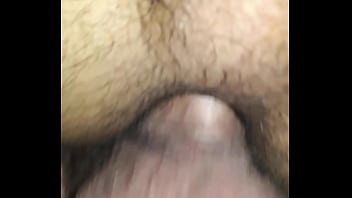 Oso Bears Barecback thumbnail