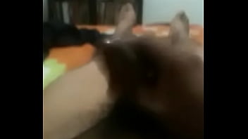 Solo En Casa thumbnail