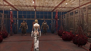 Fallout 4 review of wardrobe 7 heroes