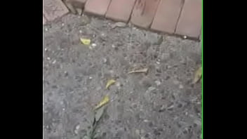 Slutty manda playing with her pussy