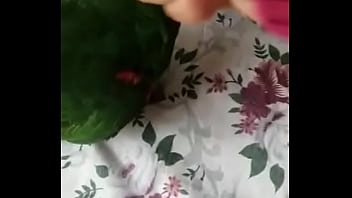 Juanita simp de areli