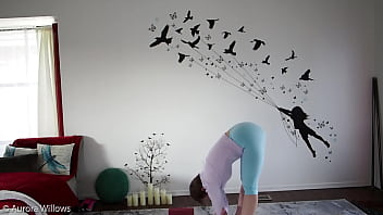 Series 325 Series 325