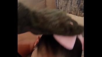 Miss raquel the naughty little piggie oct 31 2024