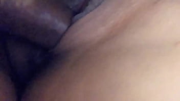 Mixed bitch green eyes