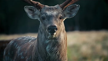 5 reasons why girls don't cum