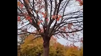 Cuming out for either june or october gay pride month about other gay looking and sounding things i did on social media once 12