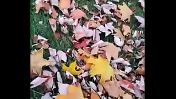 Cuming out for either june or october gay pride month about other gay looking and sounding things i did on social media once 12