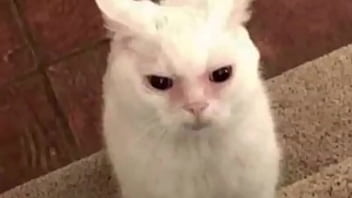 He got the jorge washinton 6s on