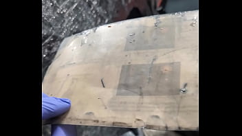 Our new dakinakura for luna and freya