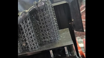 Our new dakinakura for luna and freya