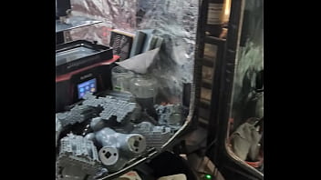 Our new dakinakura for luna and freya