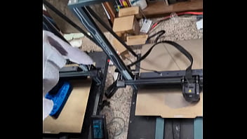 Our new dakinakura for luna and freya