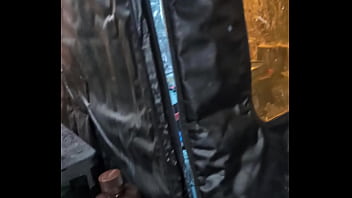 Our new dakinakura for luna and freya