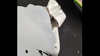 Our new dakinakura for luna and freya