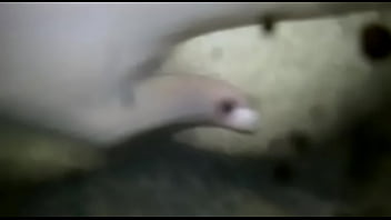 Negão fudendo rabo do branquinho