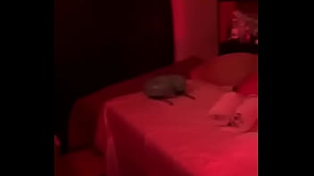 Bora de massagem 11 9 9914 1690 sandro