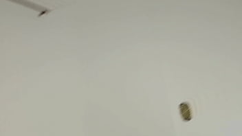 Pornstar vivi guedez woke up craving booze and sex and dragged two horny black men to the party