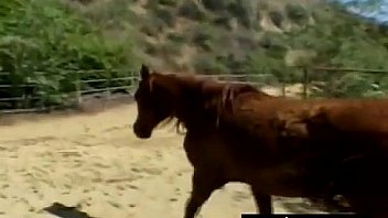 Blond dominates at the stable