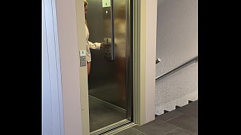 Bon mardi les zamours