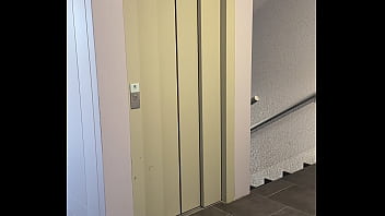 Bon mardi les zamours