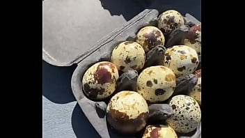 The austrian alps—such an amazing view ️where’s your favorite mountain escape #austrianalps #mountainmagic