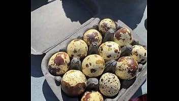 The austrian alps—such an amazing view ️where’s your favorite mountain escape #austrianalps #mountainmagic