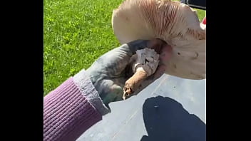 The austrian alps—such an amazing view ️where’s your favorite mountain escape #austrianalps #mountainmagic