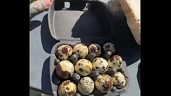 The austrian alps—such an amazing view ️where’s your favorite mountain escape #austrianalps #mountainmagic