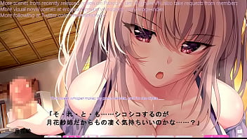 Hentai visual novel