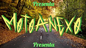 Recopilación motoanexo vol 8