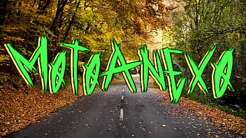 Recopilación motoanexo vol 8