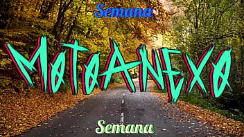 Recopilación motoanexo vol 8