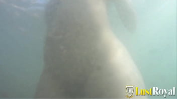 Outdoor fuck with the spectacular brunette