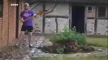 Sander sutter fugle pik på ditzel