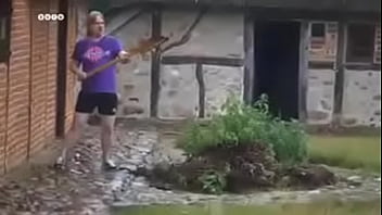 Sander sutter fugle pik på ditzel