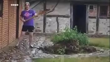 Sander sutter fugle pik på ditzel