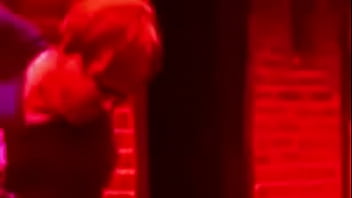 Sander sutter fugle pik på ditzel