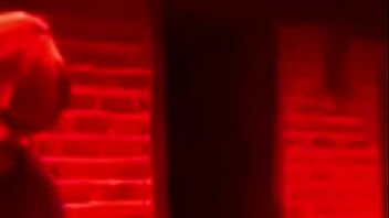 Sander sutter fugle pik på ditzel