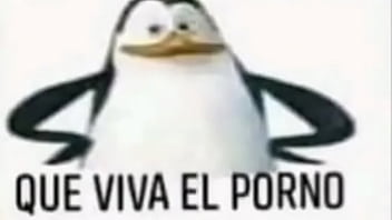 Videos graciosos Videos graciosos