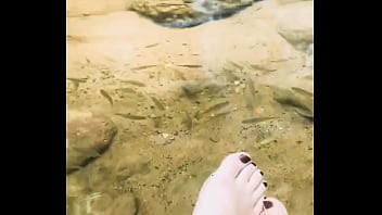 Pezinhos com peixinhos