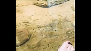 Pezinhos com peixinhos