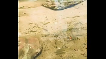 Pezinhos com peixinhos