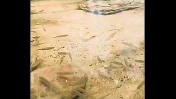 Pezinhos com peixinhos