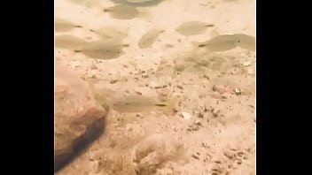 Pezinhos com peixinhos