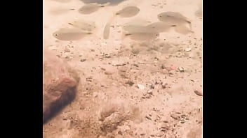 Pezinhos com peixinhos